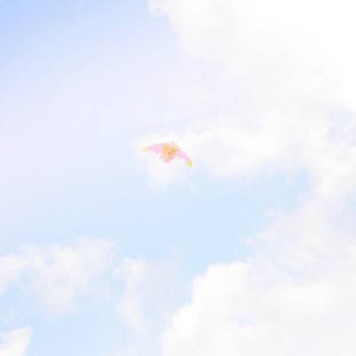 青云九天果盘版游戏下载